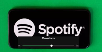 spotify negro verde