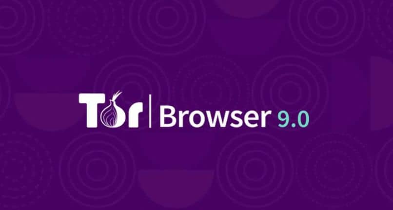 tor browser fondo morado