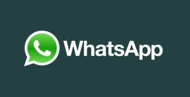 whatsapp logo notificaciones 11330