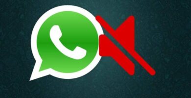 WhatsApp-ryhmien mykistäminen poistumatta ryhmästä (esimerkki) 14 whtasapp silenciar