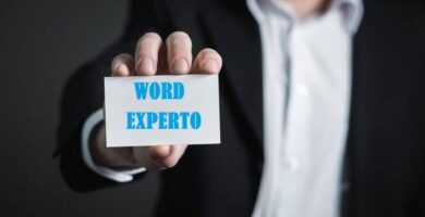 word experto