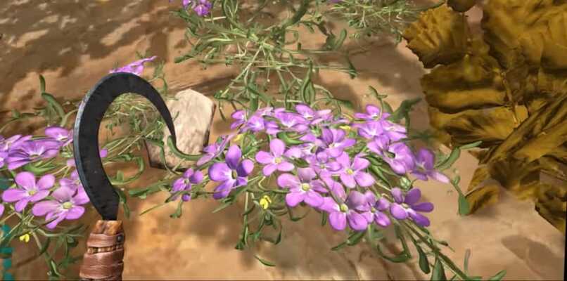 arkki silkki violetit kasvit