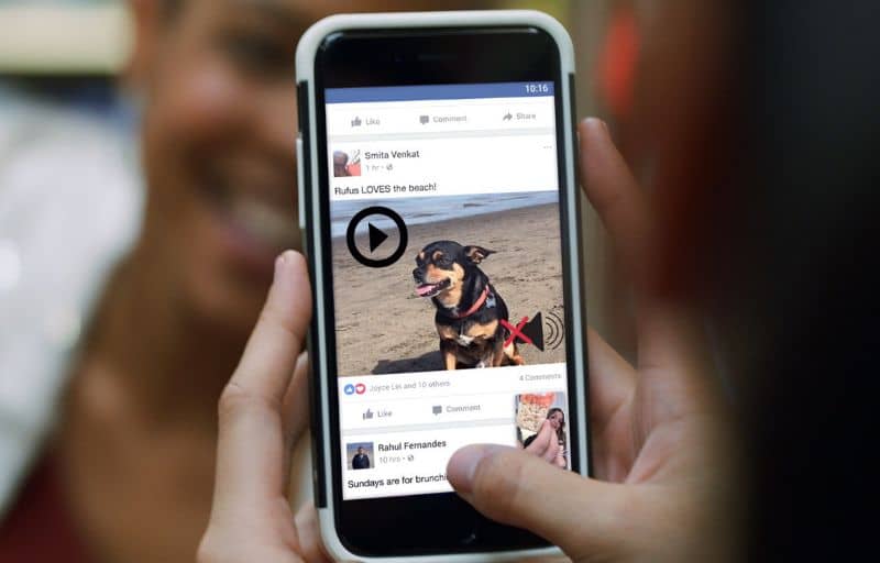Koiran Facebook -video
