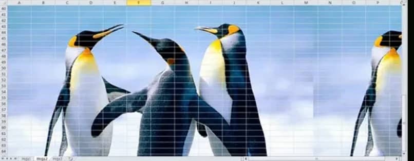 pingviinien kuva Excel -arkin taustana