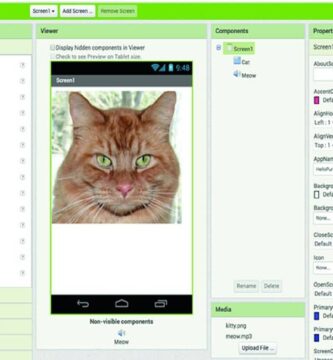 APP Inventor gato