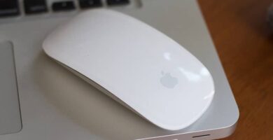 Hiiren tai kosketuslevyn vierityssuunnan kääntäminen Windows 10: ssä (esimerkki) 14 MCSH1903 1