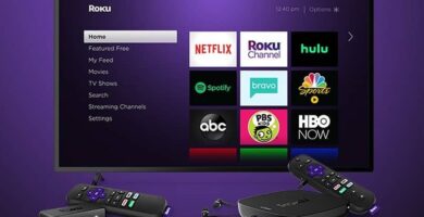 Kuinka löytää Roku -laitteeni IP -osoite helposti? (Esimerkki) 16 TV morada
