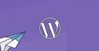 Natiivikentän poistaminen WordPress -kommenttien URL -osoitteesta (esimerkki) 6 acceso a wordpress