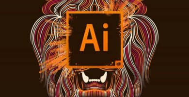 adobe ilustrator 13495