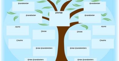 arbol genealogia familia pappa mama