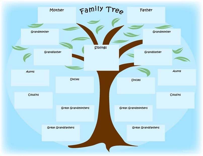 arbol genealogia familia pappa mama