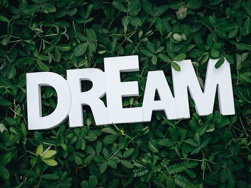 arbusto verde letras blancas palabra dream