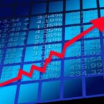 bolsa valores mercadona 11138