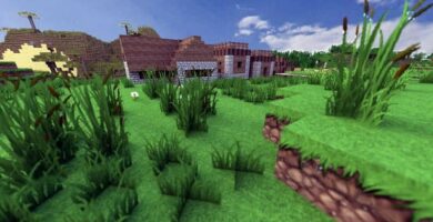 campo en minecraft