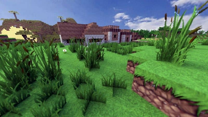 campo en minecraft