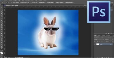 Ääriviivan tai reunan asettaminen piirustukseen tai tekstiin Photoshopissa (esimerkki) 14 conejo photoshop