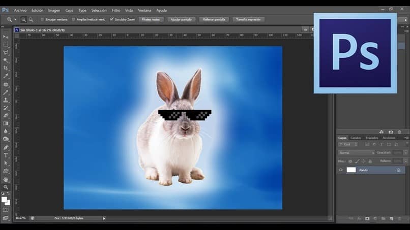 conejo photoshop