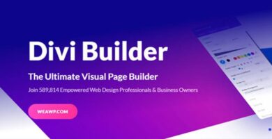 divi builder tema 13485