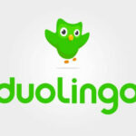 duolingo logo 9228