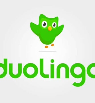 duolingo logo 9228