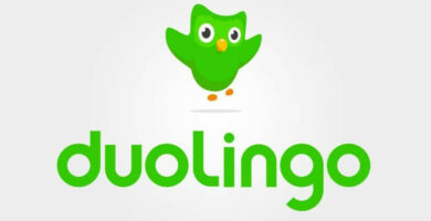 duolingo logo 9228