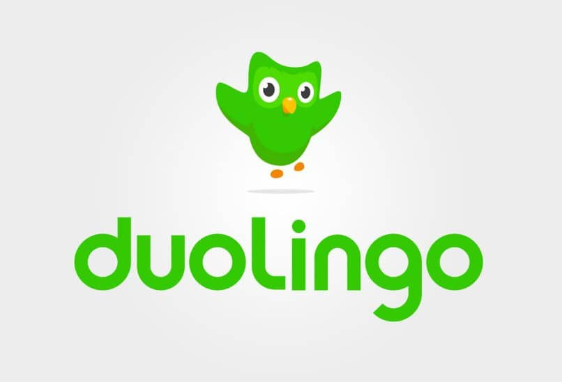 duolingo logo 9228
