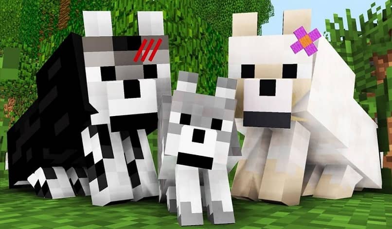 familia de lobos de minecraft