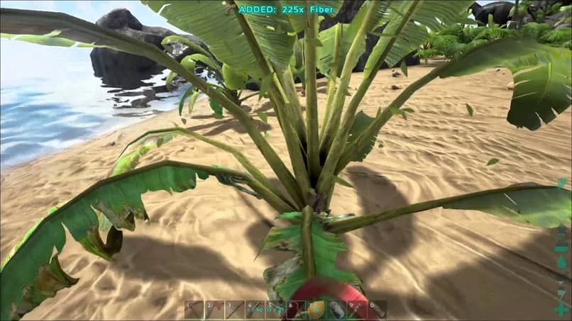 fibra ark survival evolved