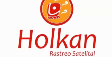 Mikä on Holkan ja miten ajoneuvojen GPS -satelliittiseuranta toimii? 22 holkan 12865