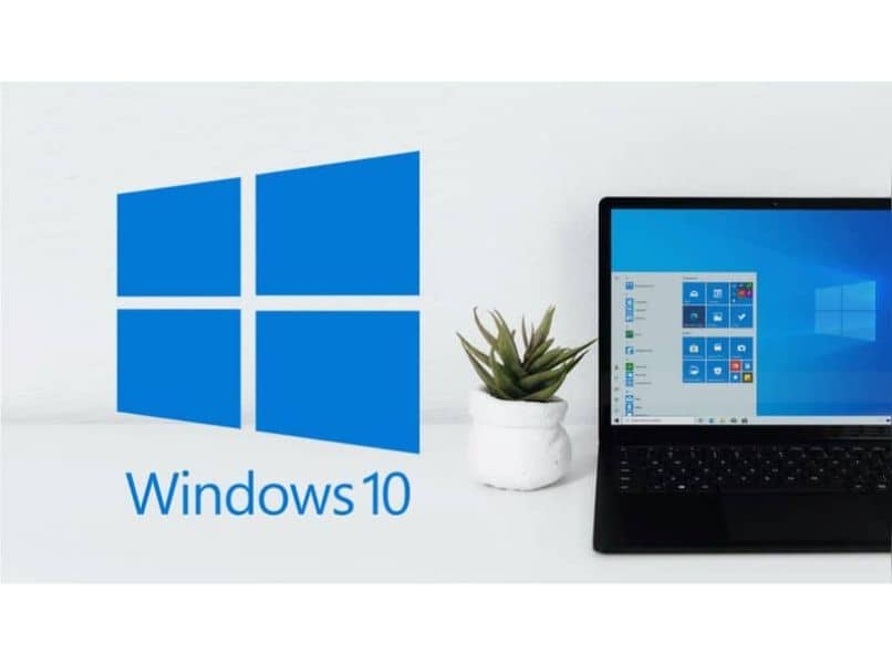 icono windows laptop planta