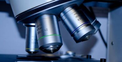 Optisen mikroskoopin asentaminen ja liittäminen tietokoneeseen vaihe vaiheelta (esimerkki) 40 imagen anpliada microscopio optico