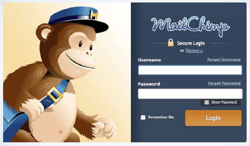 inicio mailchimp