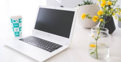 laptop escritorio flor