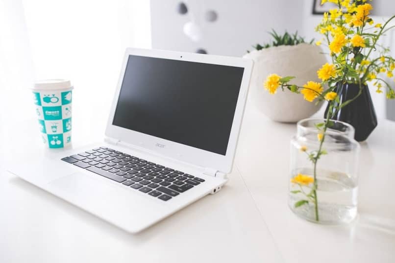 laptop escritorio flor