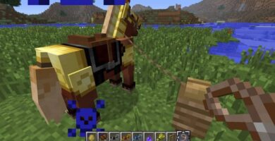 lazo caballo minecraft