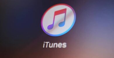 letras musica itunes