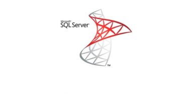 logo de SQL server original