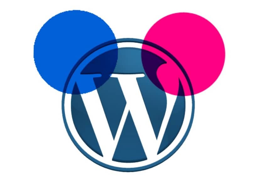 logo wordpress 8