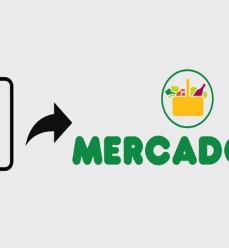 mercadona curriculum 11169
