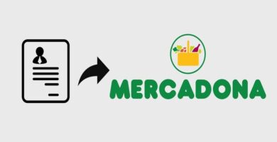 mercadona curriculum 11169