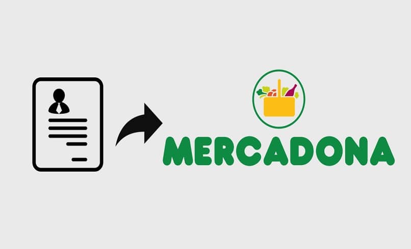 mercadona curriculum 11169