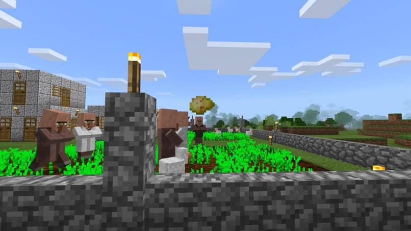 Mikä on myrkyllinen, myrkytetty tai mätä peruna Minecraftissa? 1 patata minecraft