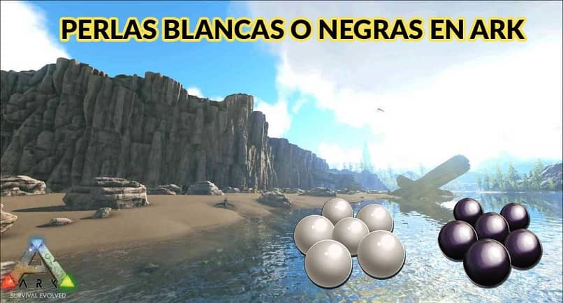 perlas blancas negras ark survival evolved