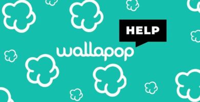 portada wallapop help 9234