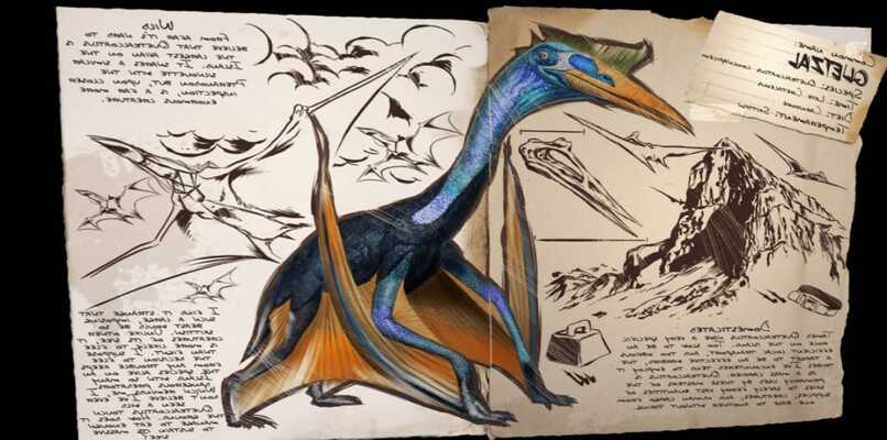 quetzal dossier ark 11629