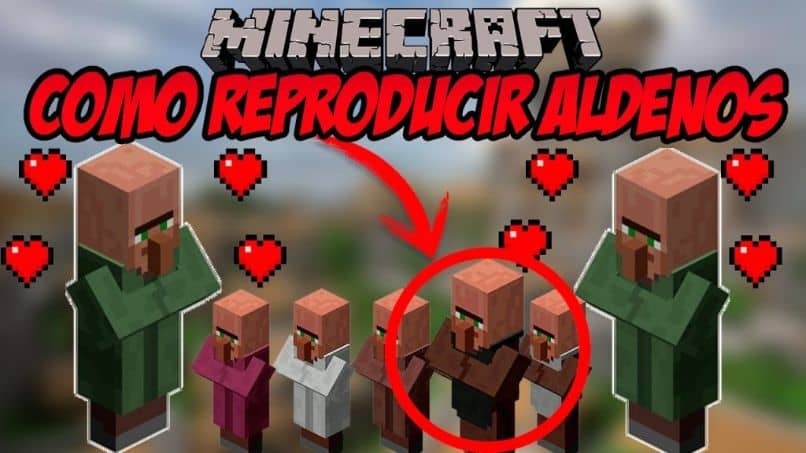 Kuinka saada kyläläiset saamaan lapsia Minecraftissa - rotu ja kyläläisten kasvattaminen (esimerkki) 1 reproducir aldeanos