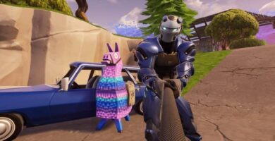 selfie fortnite llama 9525