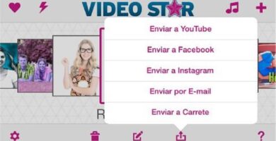 video star 12991