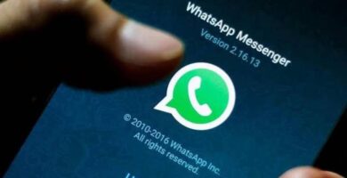 Kuinka otan yhteyttä WhatsAppin tekniseen tukeen (esimerkki) 8 whatsapp soporte