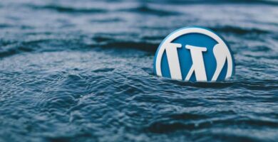 wordpress logo agua 13475